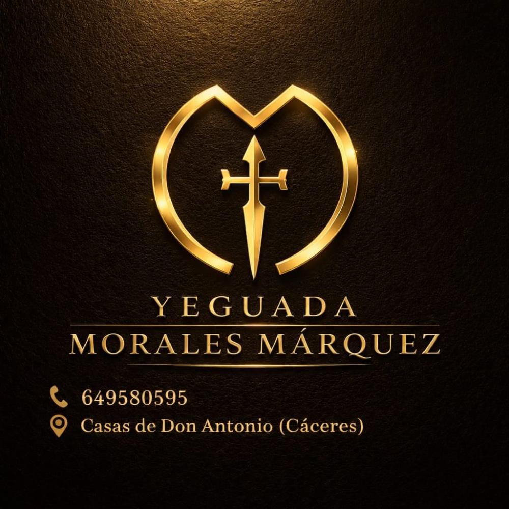 Imagen YEGUADA MORALES MÁRQUEZ